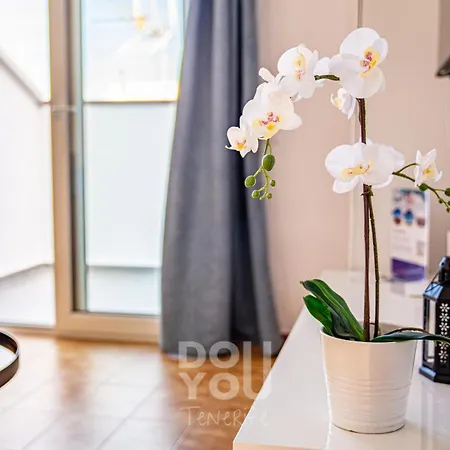 Apartamento Parque Diamantes *